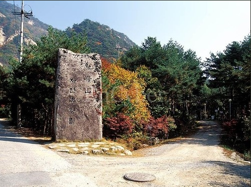 충북 조령산자연휴양림 전경