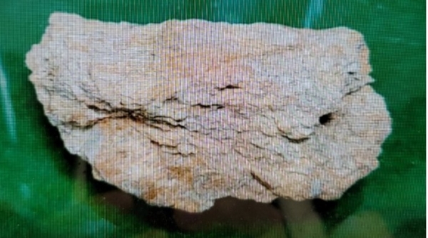일라이트는 1937년 미국 일리노이주에서 최초 발견 되었고 세계의 여러 나라에 소량으로 분포되어 있다.특히, 영동지역의 매장량은 5억톤으로 세계에서 가장 많은 매장량을 가지고 있다. 일라이트 원석 모습