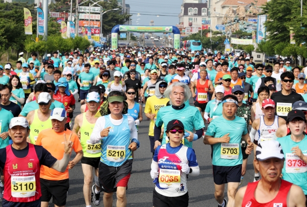 2019년 제18회 보령머드임해마라톤대회 모습