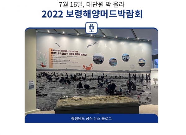2022보령해양머드박람회 개막