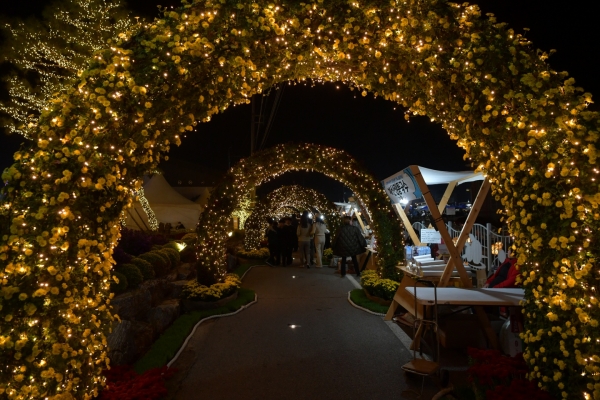 충남 예산군 예산전통시장 일원에서 14일부터 20일까지 열리고 있는 제6회 예산장터 삼국축제가 아름다운 빛의 향연으로 물들어 관람객들의 큰 호응을 얻고 있다.(국화 전등 모습)