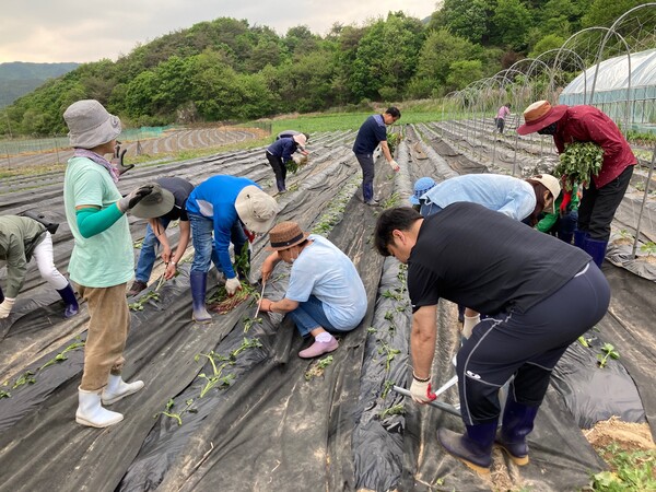 지난해 괴산군 서울농장에서  농업일자리 탐색교육을 하는 모습