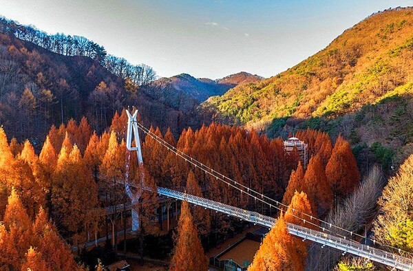 장태산휴양림 전경.