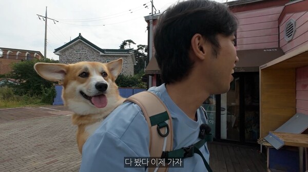 반려동물 동반여행 콘텐츠 공모전’ 대상 수상작 박민원 씨.