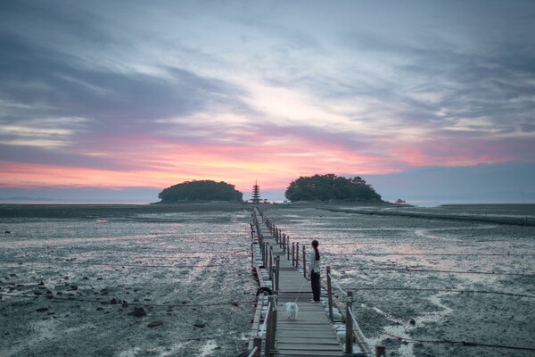 반려동물 동반여행 콘텐츠 공모전 최우수상 수상 정태식 씨.