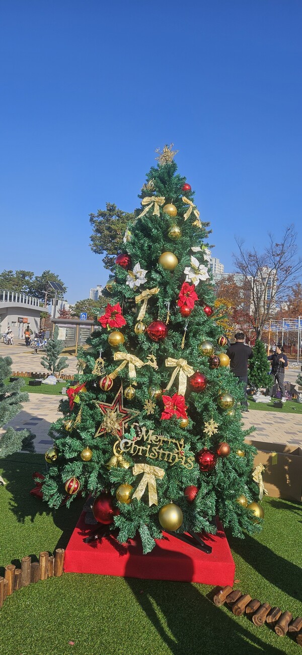 '이랑이네' 크리스마스  트리.