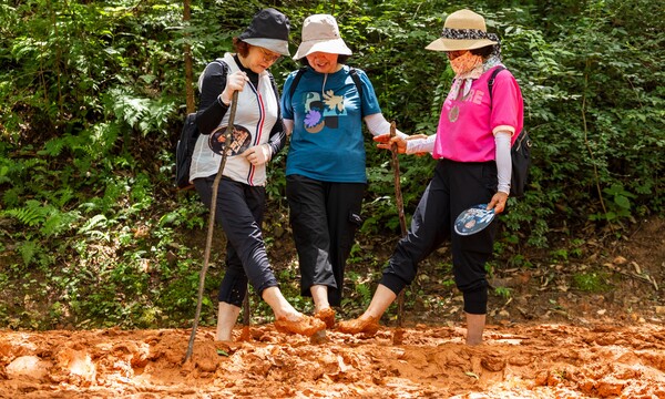 계족산 황톳길.
